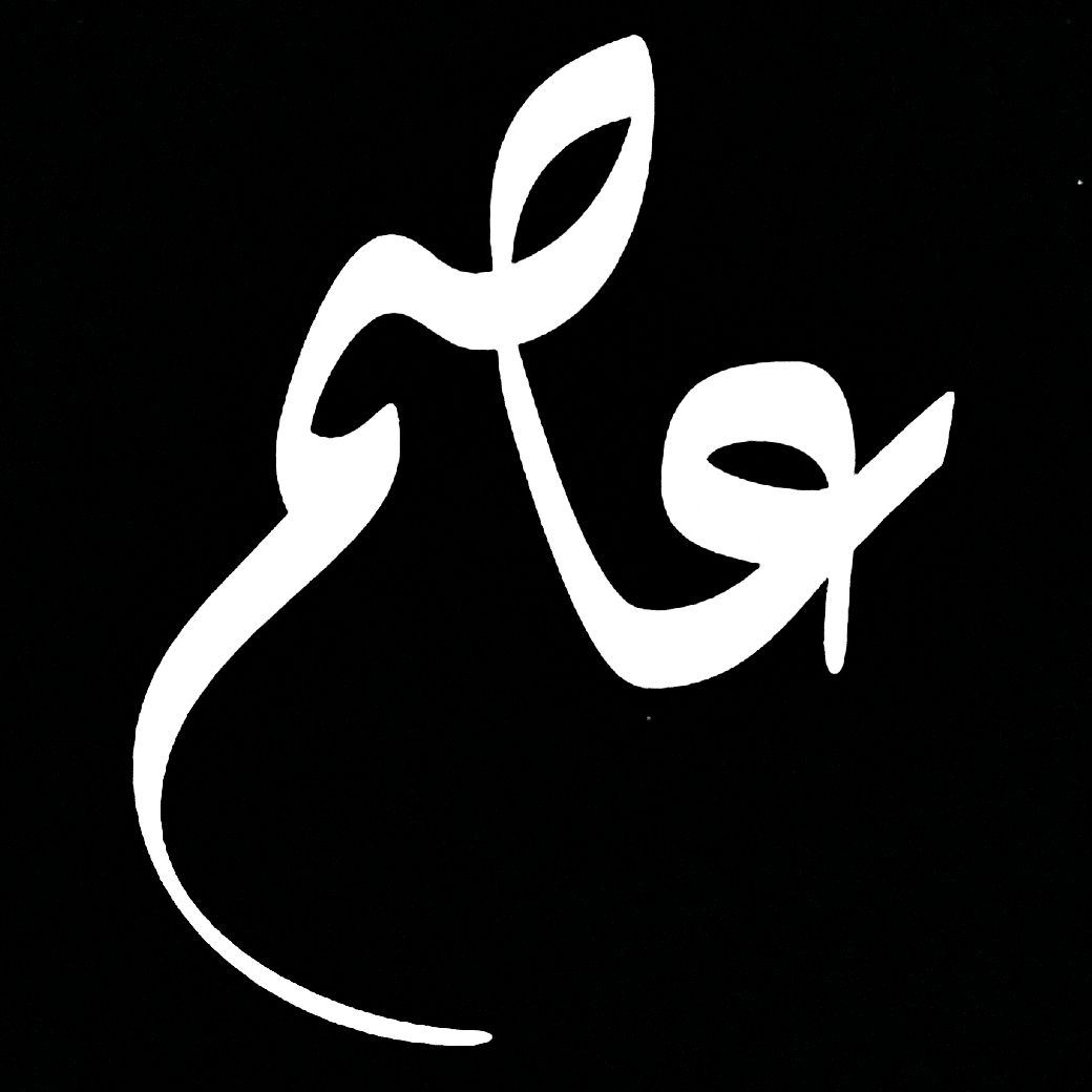 🇵🇸عاصم🇵🇸