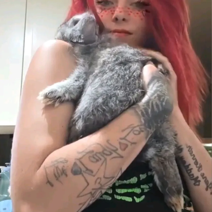 𝙱𝙰𝚂𝙸𝙲ᵇᵘⁿⁿʸ𝙱𝚒𝚝𝚌𝚑🐇