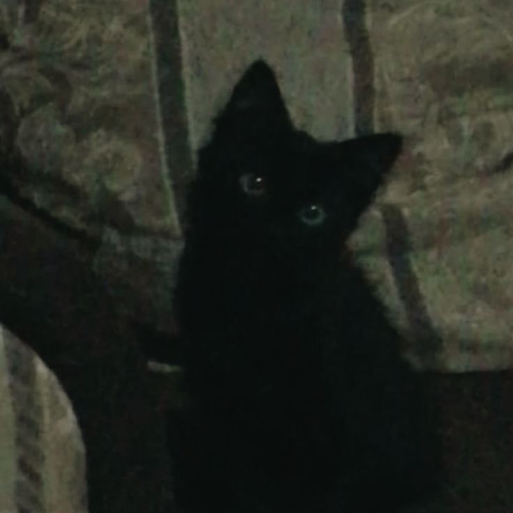 🦇emma