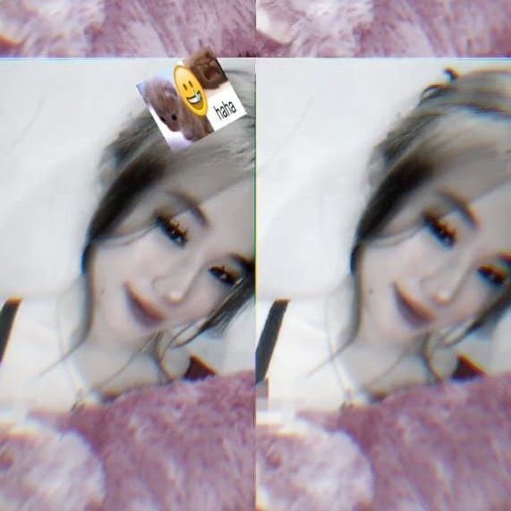 ciiaraimutt_