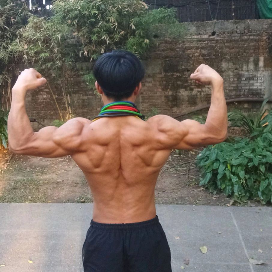 เตอร์calisthenics 🎭
