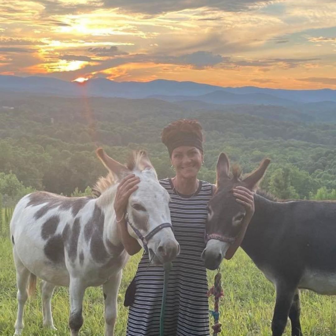 Dahlonega Healing Herds
