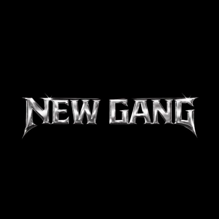 FOR-NEW GANG🕸️