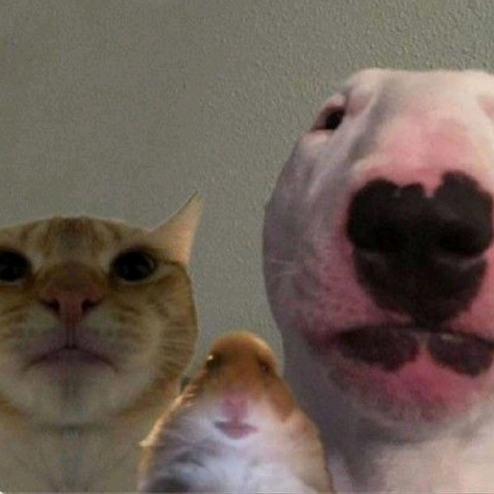 il_se.gre.to_giu.sto_