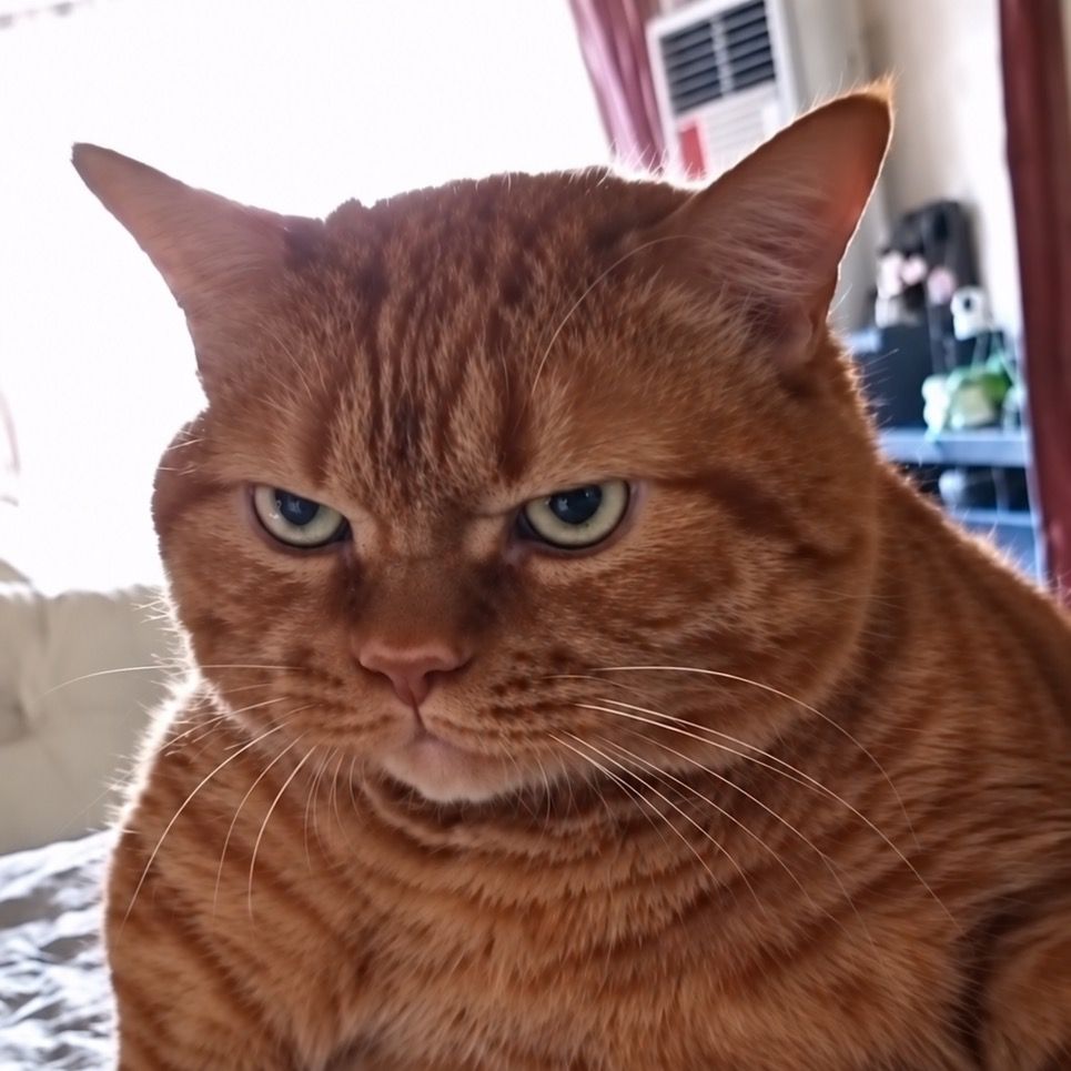 Leroy Jenkins