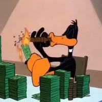 o0pf55