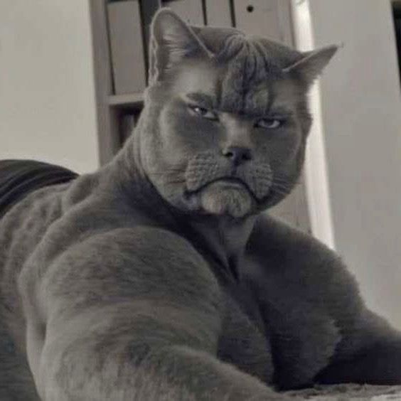 R 🛬