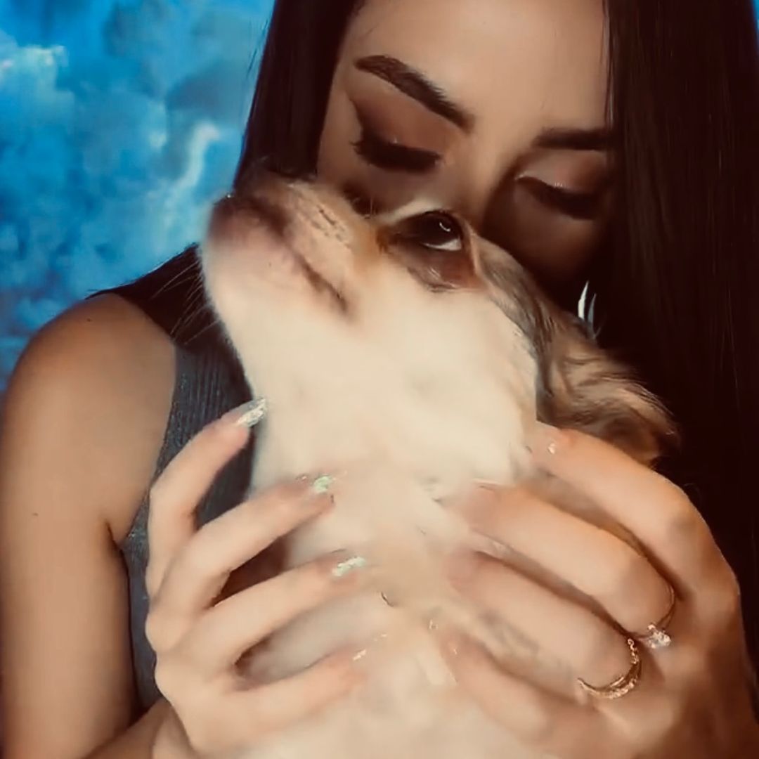 Sweet Dreams ASMR 🥱