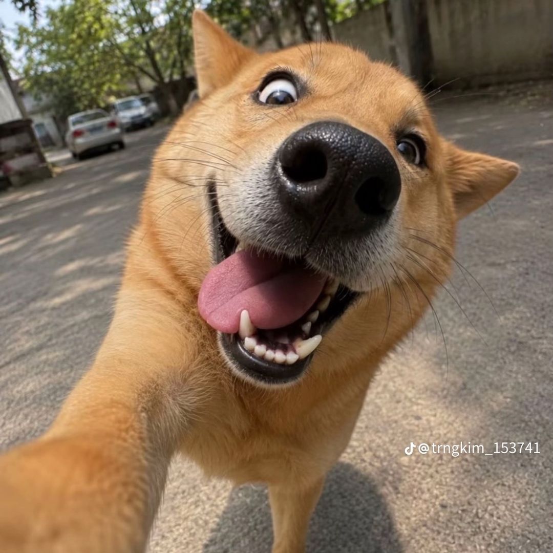 Bơ bồng bột