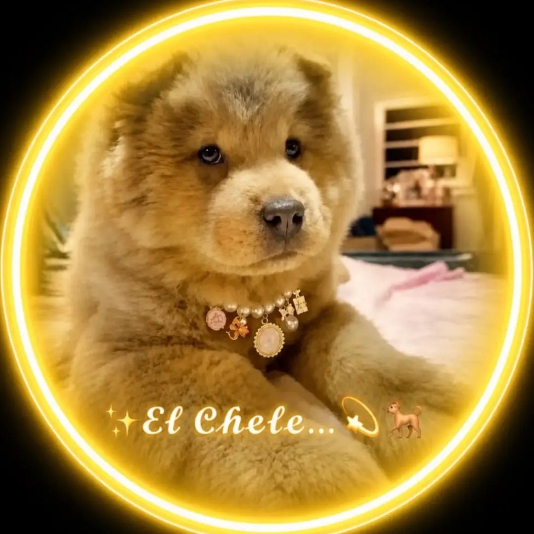 💛✨𝓔𝓵 𝓒𝓱𝓮𝓵𝓮.💫🌽🍭🐜🐕