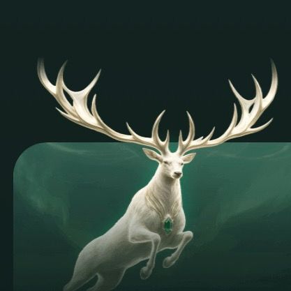 🦌RORO🦌